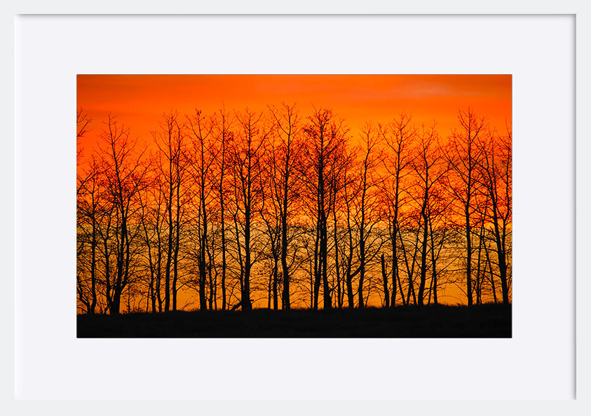 paper_frame