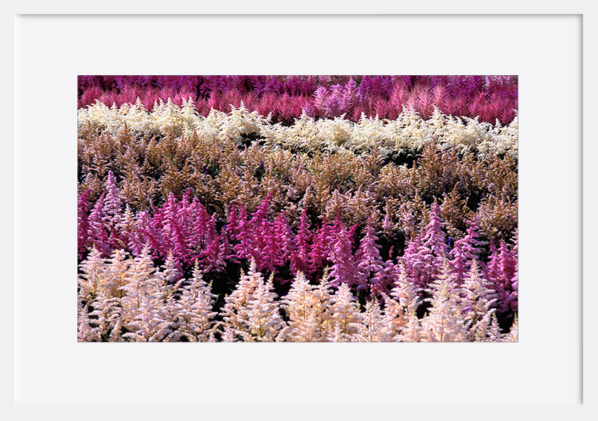 paper_frame