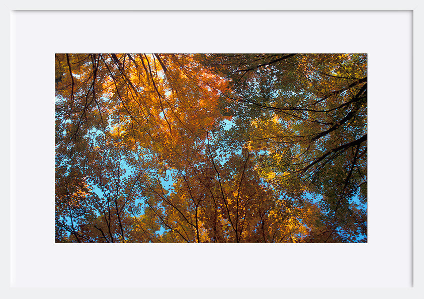 paper_frame