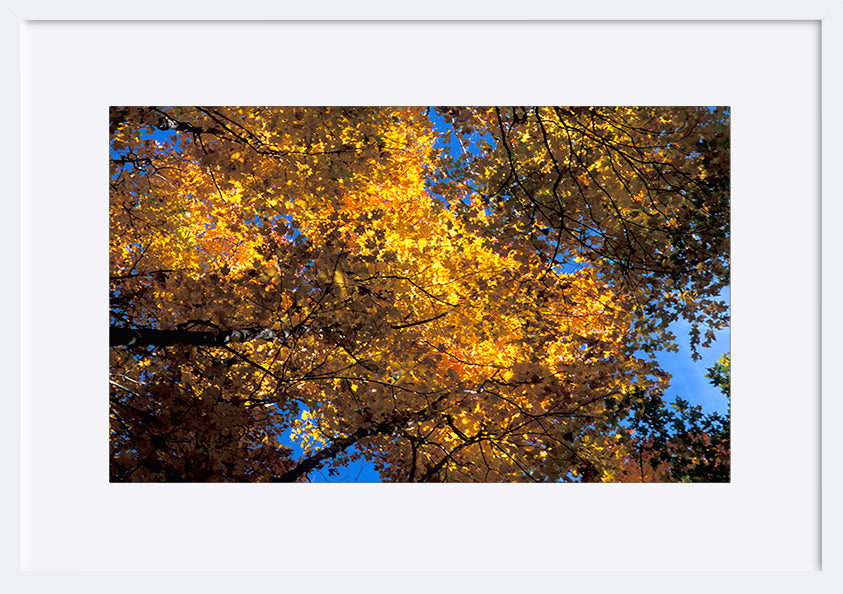 paper_frame