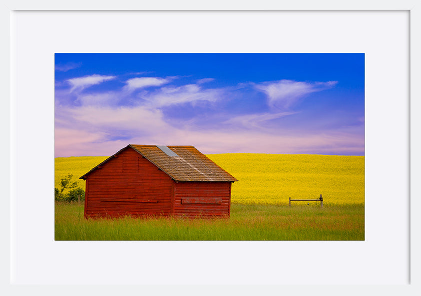 paper_frame