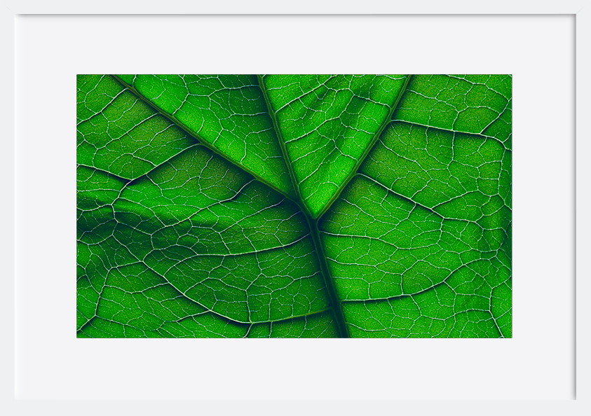 paper_frame