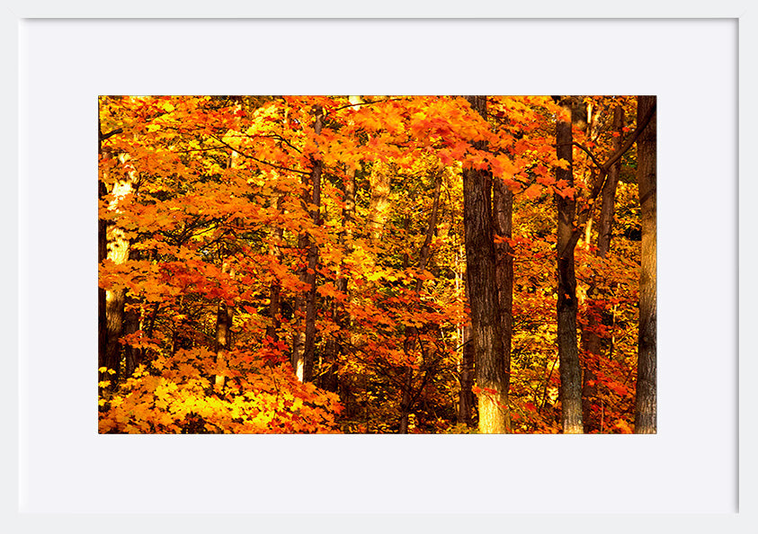 paper_frame