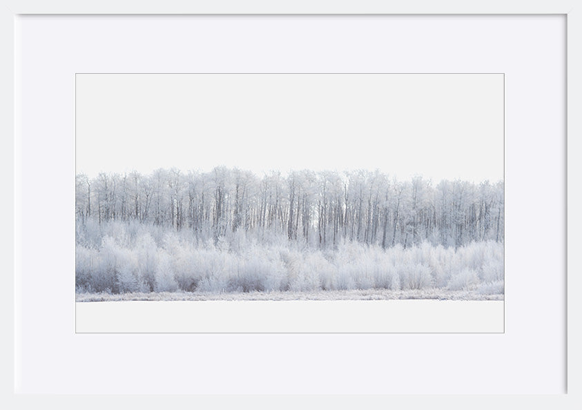 paper_frame