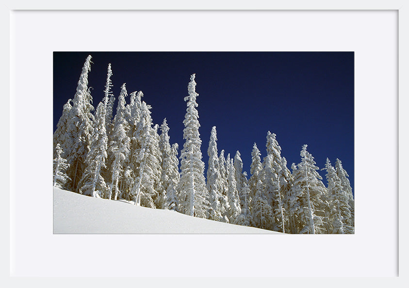 paper_frame