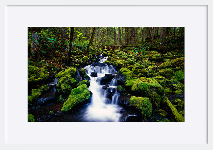 paper_frame