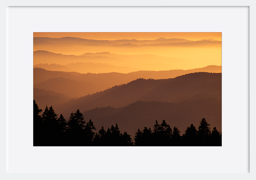paper_frame