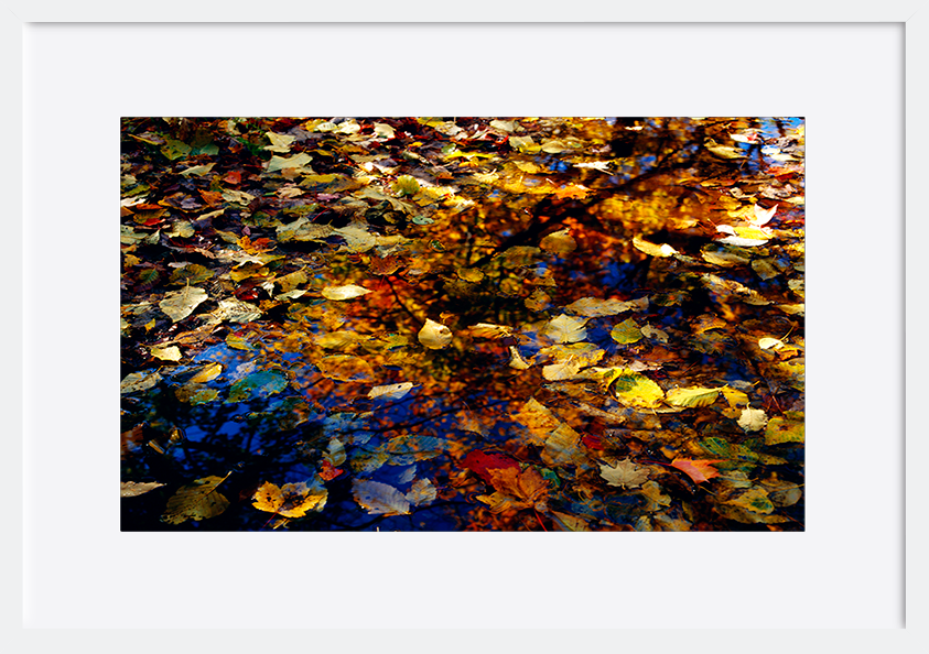 paper_frame