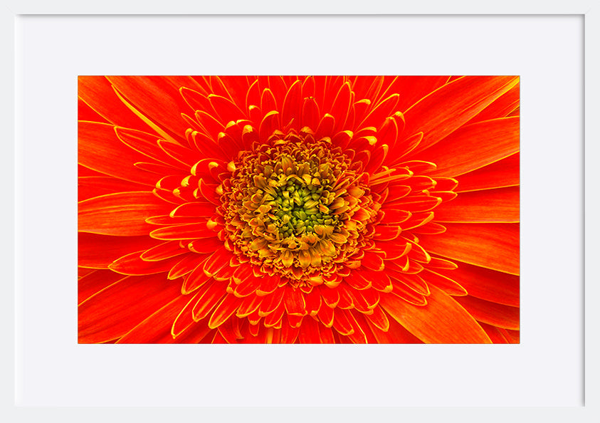 paper_frame