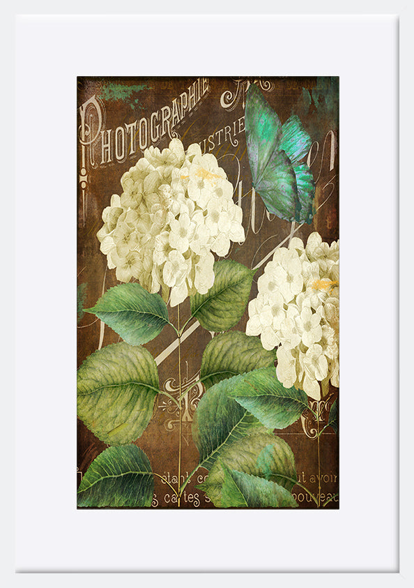paper_frame