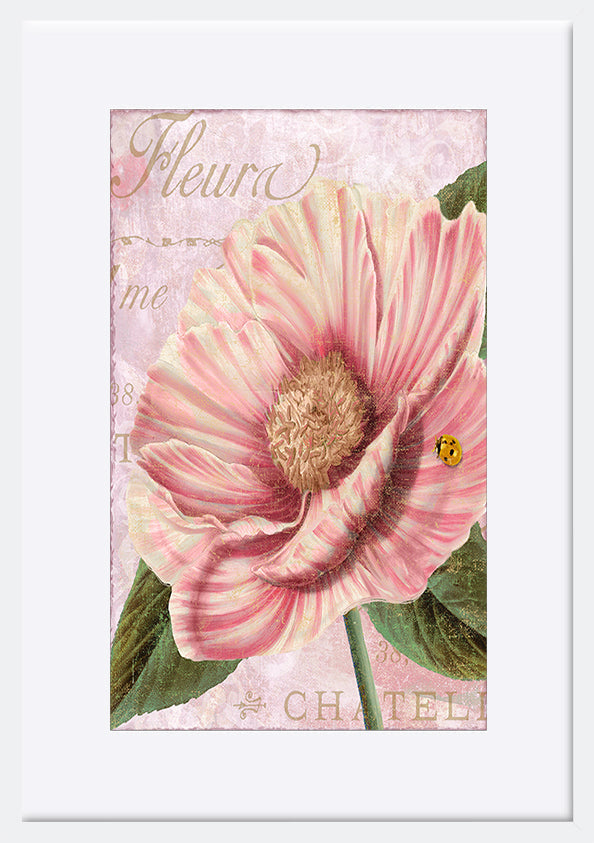 paper_frame