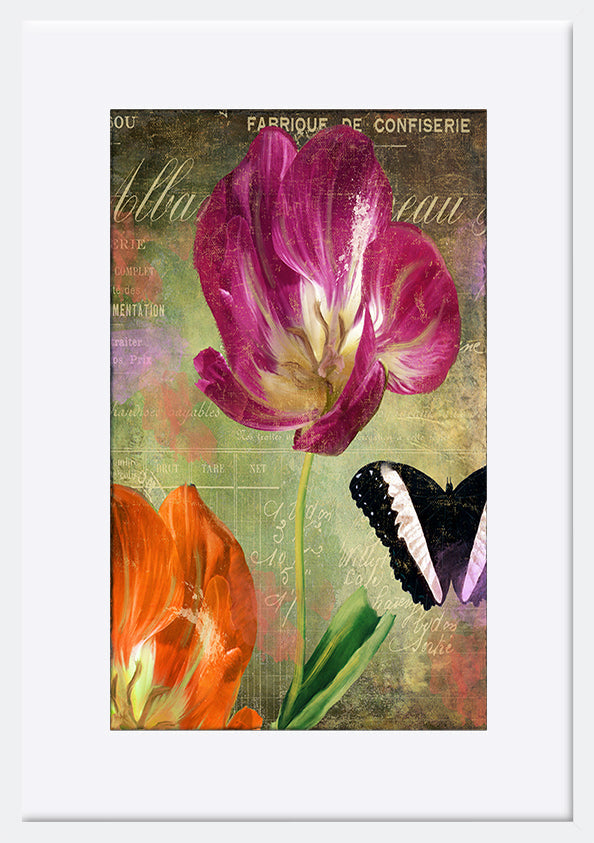 paper_frame