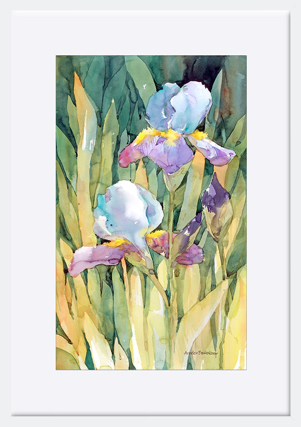 paper_frame