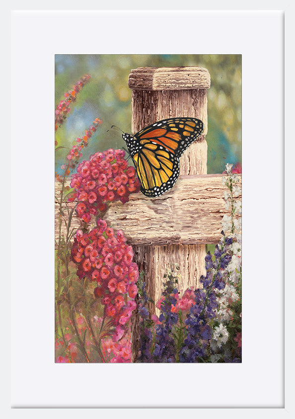 paper_frame