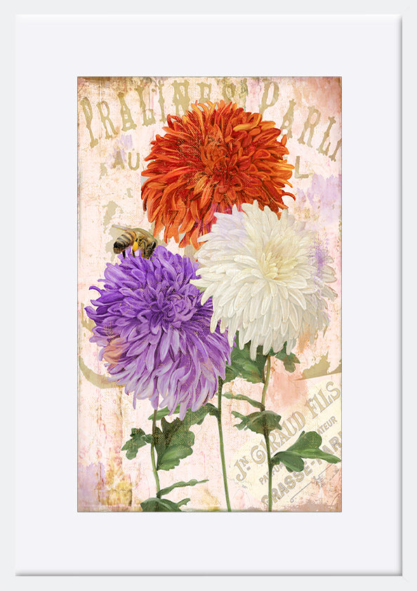 paper_frame