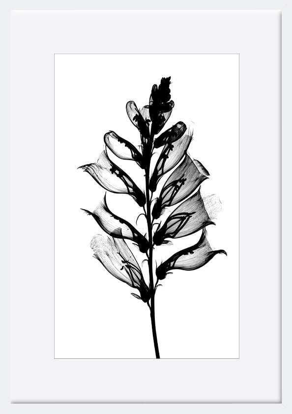 paper_frame