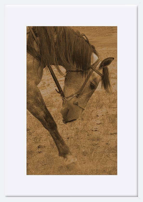 paper_frame