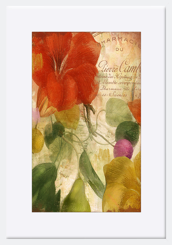 paper_frame