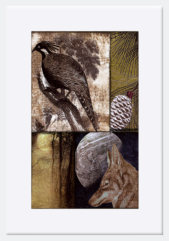 paper_frame