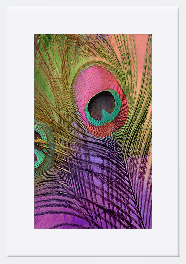 paper_frame