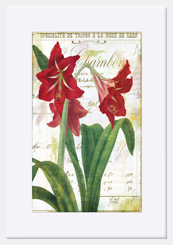 paper_frame