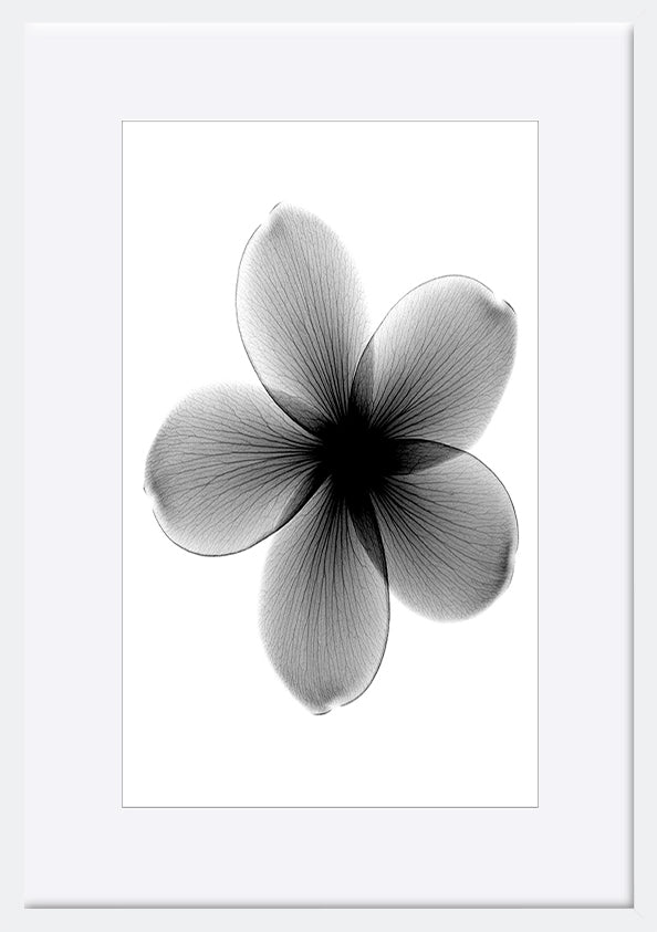 paper_frame