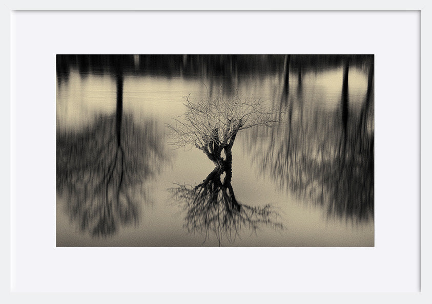 paper_frame