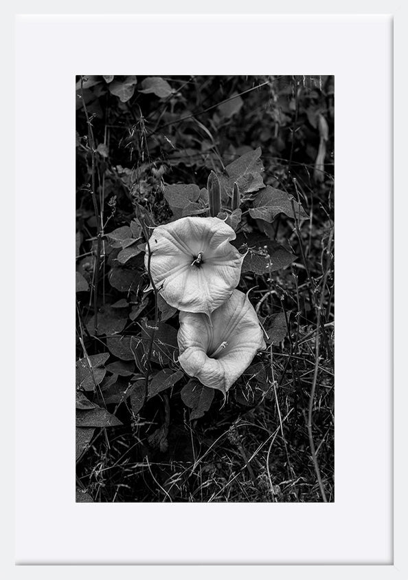 paper_frame