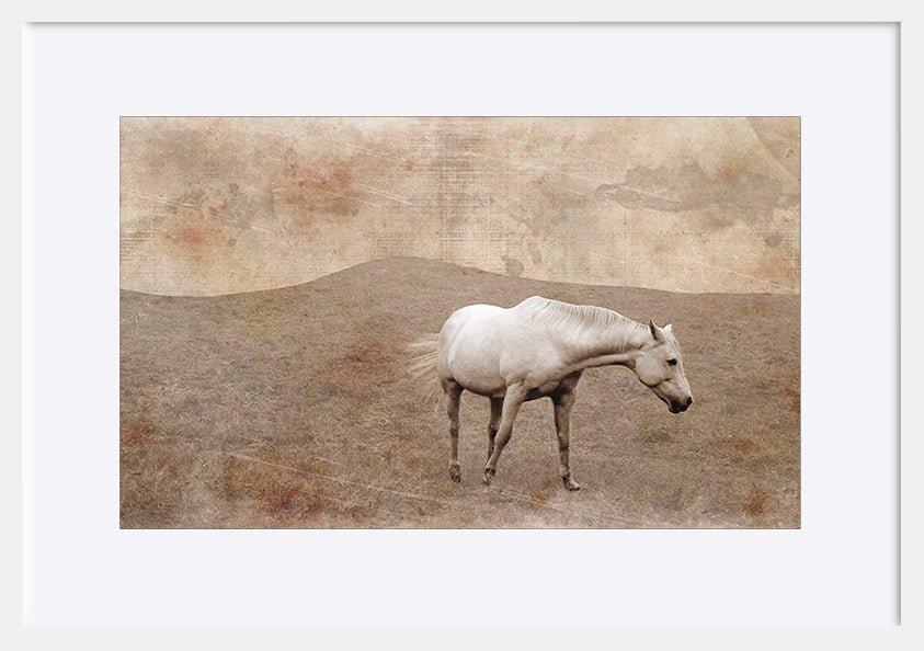 paper_frame