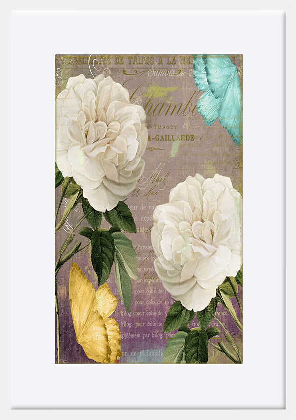 paper_frame