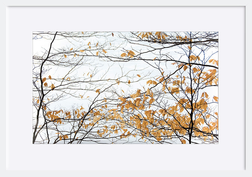 paper_frame