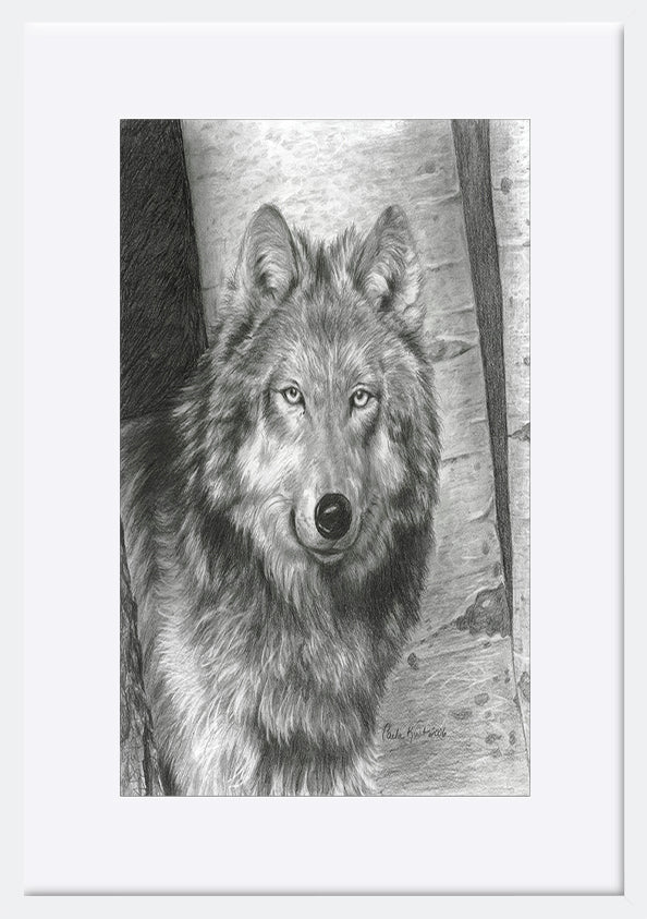 paper_frame