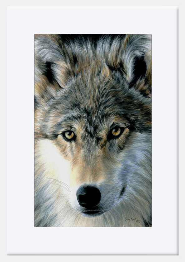 paper_frame