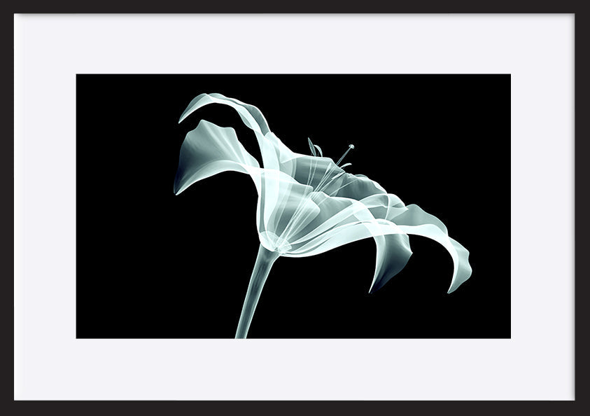 paper_frame