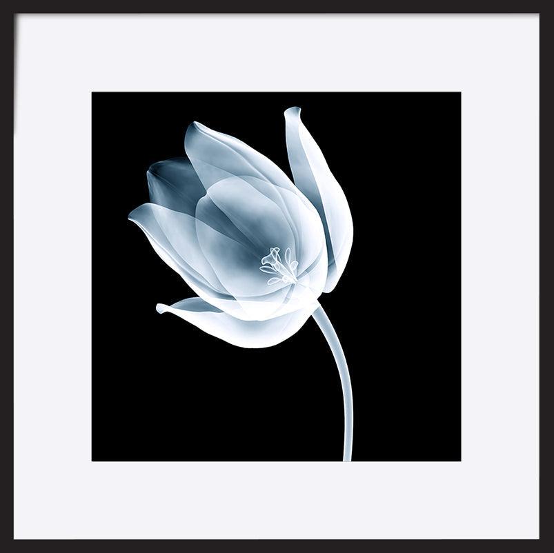 paper_frame