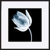 paper_frame