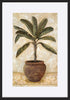 paper_frame