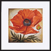 paper_frame