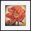 paper_frame