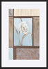 paper_frame