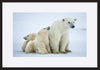 paper_frame
