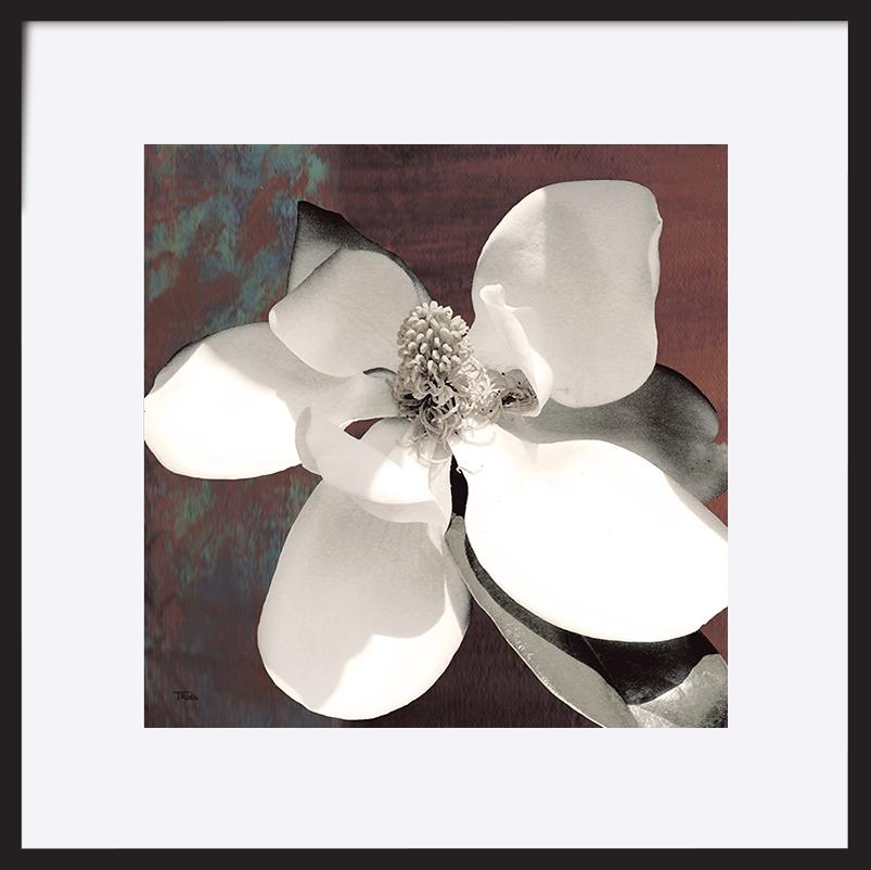 paper_frame
