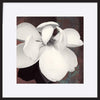 paper_frame