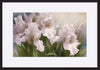 paper_frame