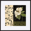 paper_frame