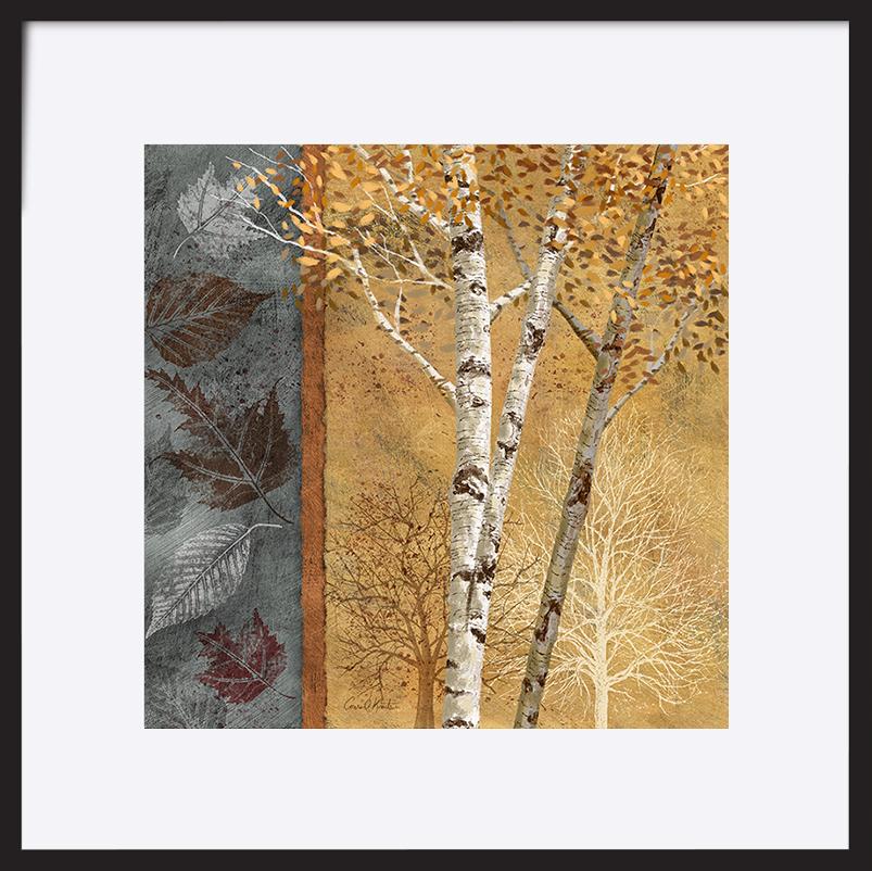 paper_frame