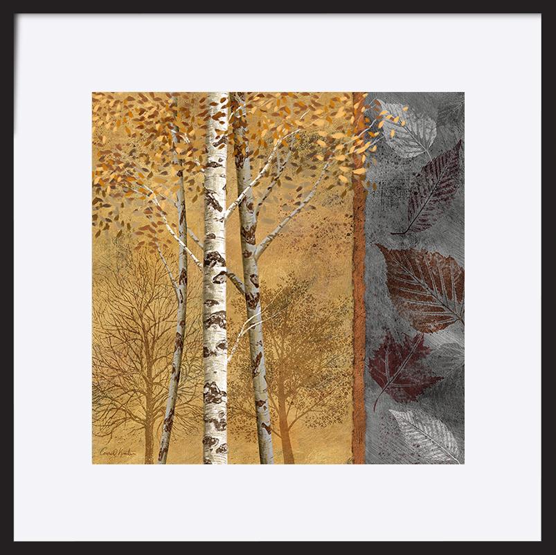 paper_frame