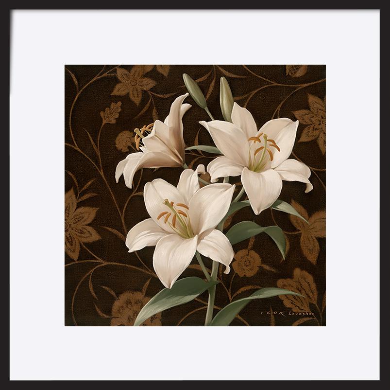 paper_frame