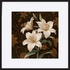 paper_frame