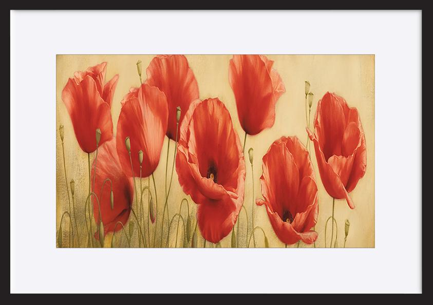 paper_frame